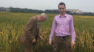 Визит Клиента в Польшу для тестирования машины Purlin Channel