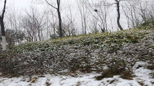 Китайские заводы работают в 2020 году